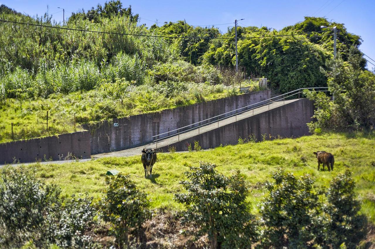 Villa Casa Afonso Na Madeira à São Jorge Extérieur photo